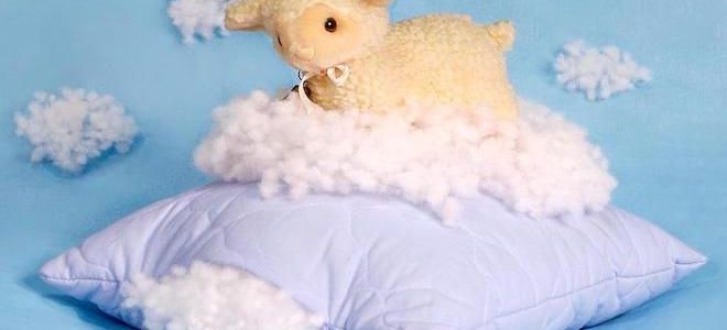 Наполнитель силикон